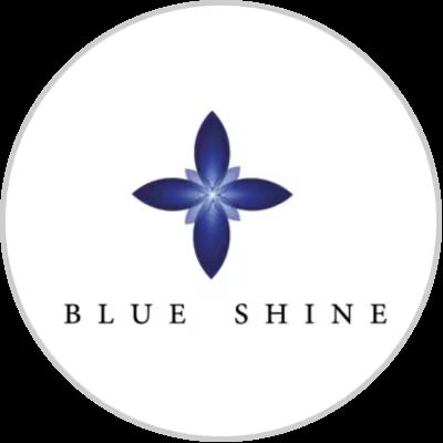 Shine Blue Hire Purchase Ltd.