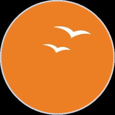 Suryoday Small Finance Bank